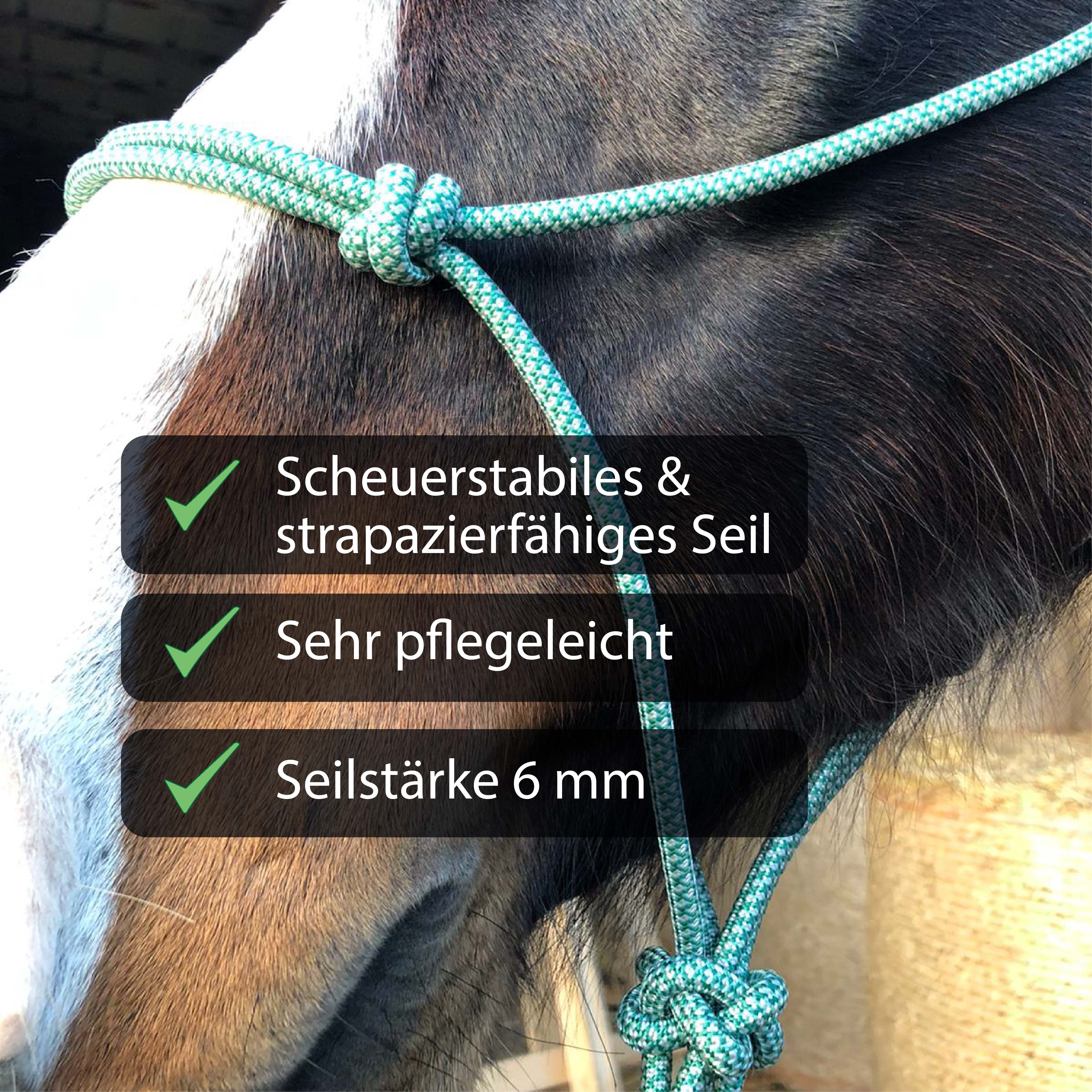 Knotenhalfter für Bodenarbeit, Trainingshalfter